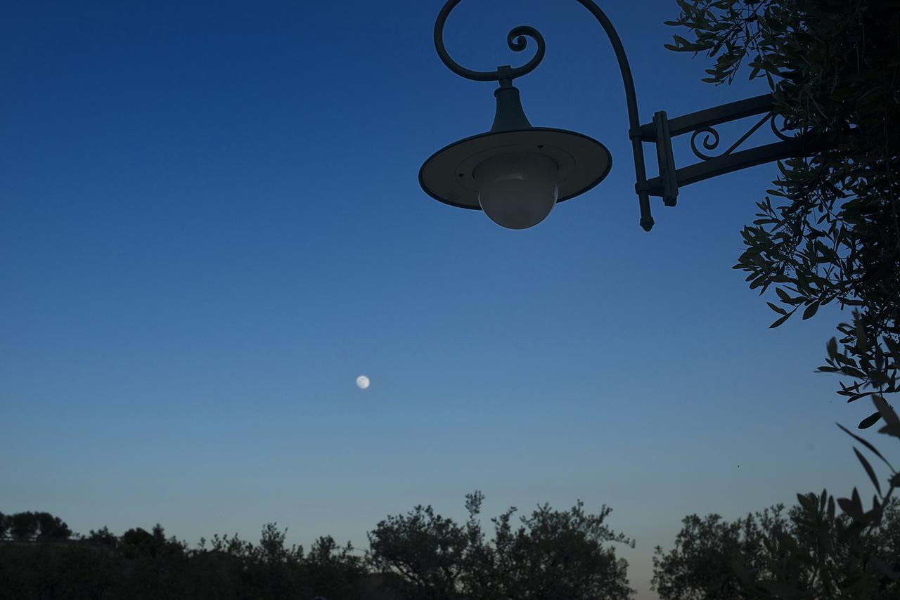 Villa La Pianella Масароза Екстериор снимка